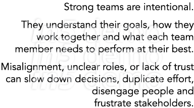 Strong teams are intentional. They understand their goals, how they work together and what each team member needs to ...