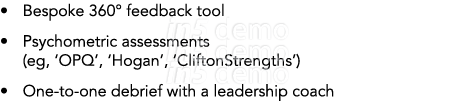 • Bespoke 360° feedback tool • Psychometric assessments (eg, ‘OPQ’, ‘Hogan’, ‘CliftonStrengths’) • One to one debrief...